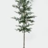 Artificial Tree 80*80*220cm Bamboo pine in PP Pot/1610 Lvs GS-59525049KD 2026Apr YeahFlower is one of Chinese leading OEM manufacturers and exporters , supplying the silk flowers, wholesale artificial trees