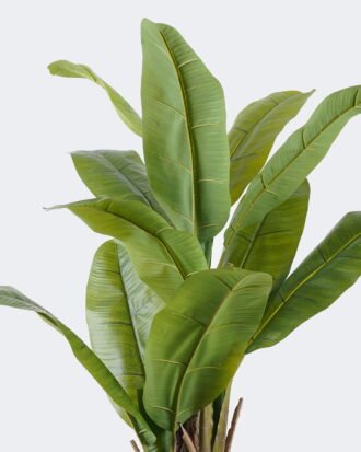 Artificial Tree 64*60*120cm Banana tree *3 in PP pot/14 lvs nature plants GS-59525021 2026Apr YeahFlower is one of Chinese leading OEM manufacturers and exporters , supplying the silk flowers, wholesale artificial trees