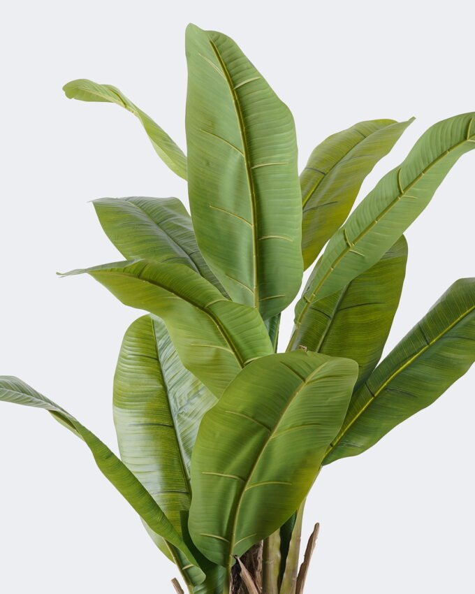 Artificial Tree 64*60*120cm Banana tree *3 in PP pot/14 lvs nature plants GS-59525021 2026Apr YeahFlower is one of Chinese leading OEM manufacturers and exporters , supplying the silk flowers, wholesale artificial trees