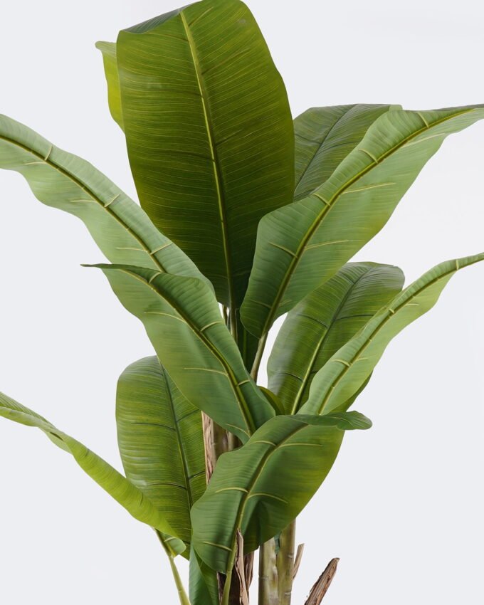 Artificial Tree 75*70*150cm Banana tree *3 in PP pot/14 lvs nature plants GS-59525022 2026Apr YeahFlower is one of Chinese leading OEM manufacturers and exporters , supplying the silk flowers, wholesale artificial trees