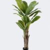 Artificial Tree 80*75*180cm Banana tree *3 in PP pot/20 lvs nature plants GS-59525023KD 2026Apr YeahFlower is one of Chinese leading OEM manufacturers and exporters , supplying the silk flowers, wholesale artificial trees
