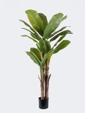 Artificial Tree 90*100*210cm Banana tree *3 in PP pot/24 lvs nature plants GS-59525024KD 2026Apr 3,000+ sqm showroom with thousands of artificial flowers, plants & trees ready for global sourcing.