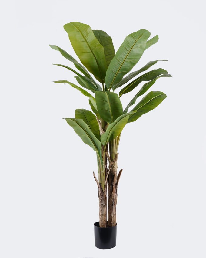 Artificial Tree 80*75*180cm Banana tree *3 in PP pot/20 lvs nature plants GS-59525023KD 2026Apr YeahFlower is one of Chinese leading OEM manufacturers and exporters , supplying the silk flowers, wholesale artificial trees