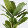 Artificial Tree 80*75*180cm Banana tree *3 in PP pot/20 lvs nature plants GS-59525023KD 2026Apr YeahFlower is one of Chinese leading OEM manufacturers and exporters , supplying the silk flowers, wholesale artificial trees