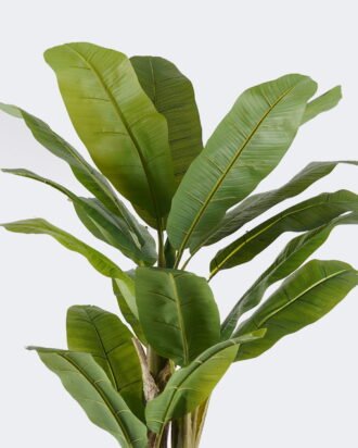 Artificial Tree 80*75*180cm Banana tree *3 in PP pot/20 lvs nature plants GS-59525023KD 2026Apr YeahFlower is one of Chinese leading OEM manufacturers and exporters , supplying the silk flowers, wholesale artificial trees