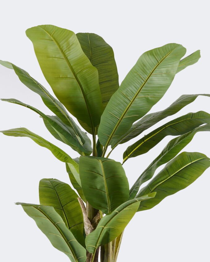 Artificial Tree 80*75*180cm Banana tree *3 in PP pot/20 lvs nature plants GS-59525023KD 2026Apr YeahFlower is one of Chinese leading OEM manufacturers and exporters , supplying the silk flowers, wholesale artificial trees