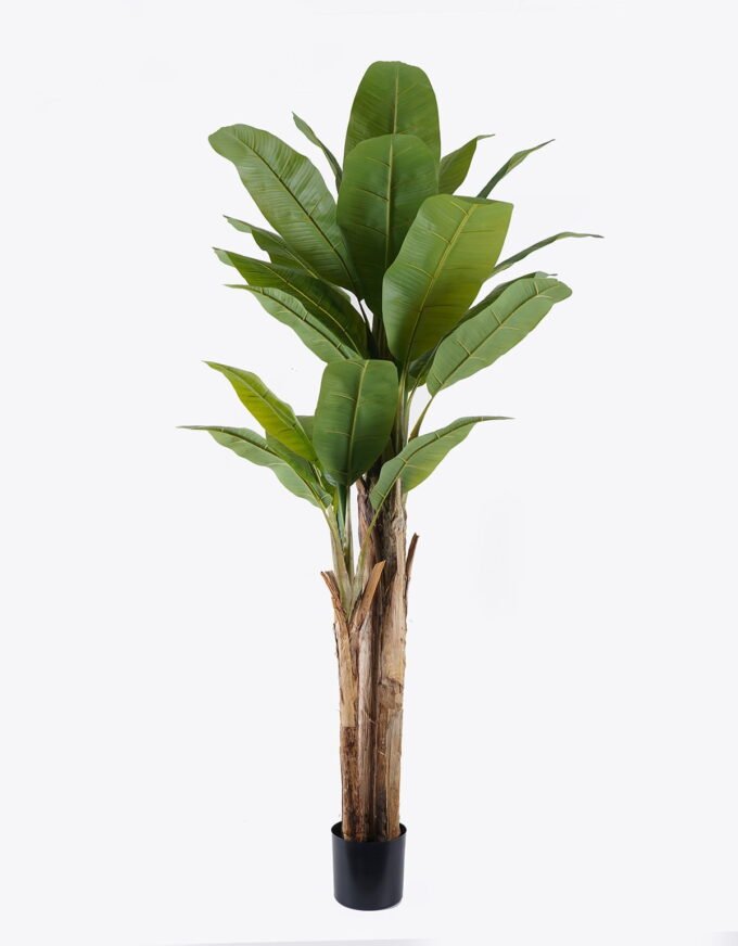 Artificial Tree 90*100*210cm Banana tree *3 in PP pot/24 lvs nature plants GS-59525024KD 2026Apr YeahFlower is one of Chinese leading OEM manufacturers and exporters , supplying the silk flowers, wholesale artificial trees