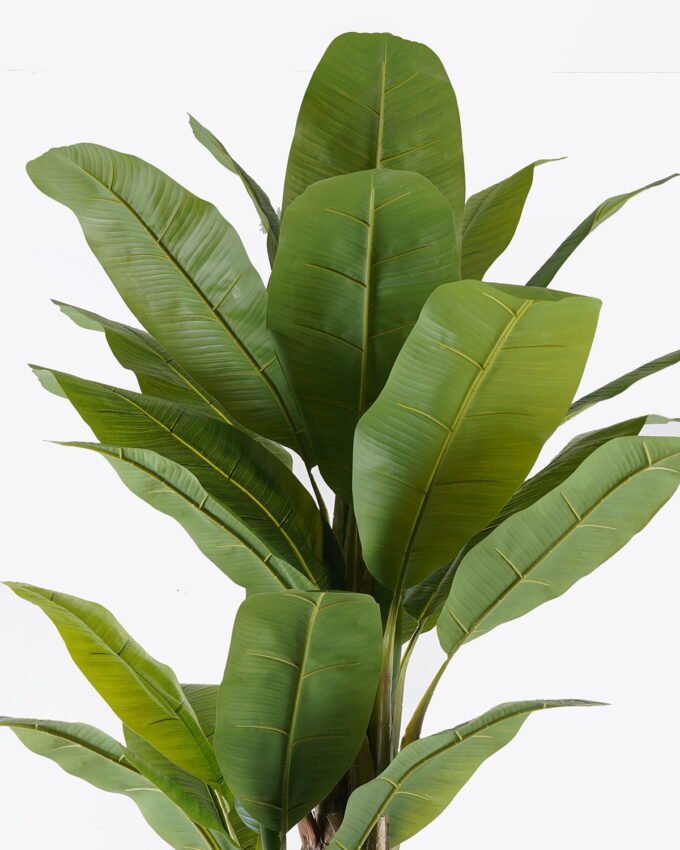 Artificial Tree 90*100*210cm Banana tree *3 in PP pot/24 lvs nature plants GS-59525024KD 2026Apr YeahFlower is one of Chinese leading OEM manufacturers and exporters , supplying the silk flowers, wholesale artificial trees