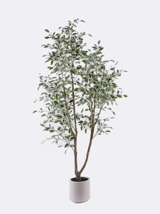 Artificial Tree 75*55*182cm Banyan in PP pot GS-10625027CT-KD 2026Mar 3,000+ sqm showroom with thousands of artificial flowers, plants & trees ready for global sourcing.