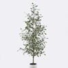 Artificial Tree Banyan in PP pot GS-10625027CT-KD_6 Artificial Tree 75*55*182cm Banyan in PP pot GS-10625027CT-KD 2026Mar YeahFlower is one of Chinese leading OEM manufacturers and exporters , supplying the silk flowers, wholesale artificial trees