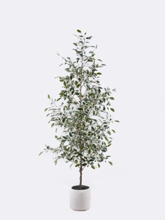 Artificial Tree 90*70*222cm Banyan in PP pot GS-10625028CT-KD 2026Mar 3,000+ sqm showroom with thousands of artificial flowers, plants & trees ready for global sourcing.