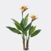 Artificial Tree Bird of paradise 2 in PP pot 14 lvs GS-30425010_1 Artificial Tree 50*38*90cm Bird of paradise *2 in PP pot/14 lvs GS-30425010 2026Apr YeahFlower is one of Chinese leading OEM manufacturers and exporters , supplying the silk flowers, wholesale artificial trees
