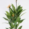 Artificial Tree Bird of paradise 3 in PP pot 46 lvs GS-30425014_5 Artificial Tree 80*65*180cm Bird of paradise *3 in PP pot/46 lvs GS-30425014 2026Apr YeahFlower is one of Chinese leading OEM manufacturers and exporters , supplying the silk flowers, wholesale artificial trees
