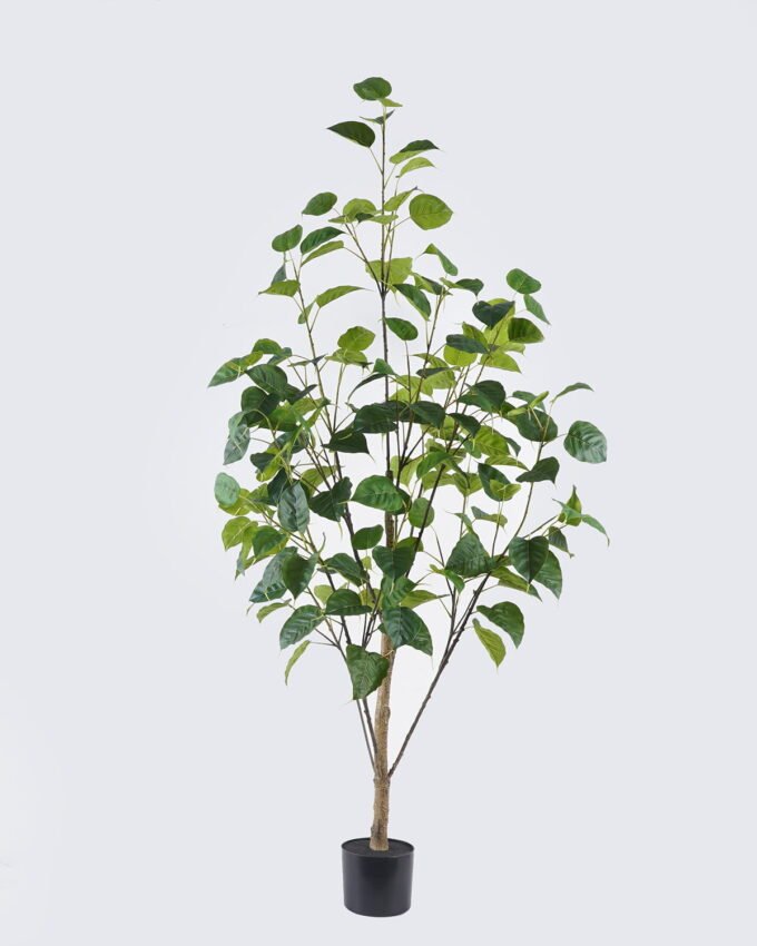 Artificial Tree 90*63*180cm Bodhi tree in PP pot GS-82625007KD 2026May 3,000+ sqm showroom with thousands of artificial flowers, plants & trees ready for global sourcing.