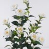 Artificial Tree 40*30*90cm Camellia *12 in PP pot/174 lvs GS-58425014RP 2026Apr YeahFlower is one of Chinese leading OEM manufacturers and exporters , supplying the silk flowers, wholesale artificial trees