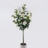 Artificial Tree Camellia 21 in PP pot 203 lvs GS-58425015KD-RP_6 Artificial Tree 50*36*120cm Camellia *21 in PP pot/203 lvs GS-58425015KD-RP 2026Apr YeahFlower is one of Chinese leading OEM manufacturers and exporters , supplying the silk flowers, wholesale artificial trees