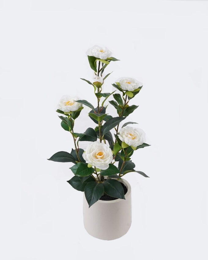 Artificial Tree 30*20*60cm Camellia *8 in PP pot/87 lvs GS-58425013RP 2026Apr YeahFlower is one of Chinese leading OEM manufacturers and exporters , supplying the silk flowers, wholesale artificial trees