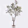 Artificial Tree 70*60*130cm Chinese loropetalum herb in PP pot GS-69425021KD-G1 2026Apr YeahFlower is one of Chinese leading OEM manufacturers and exporters , supplying the silk flowers, wholesale artificial trees