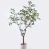 Artificial Tree 70*60*130cm Chinese loropetalum herb in PP pot GS-69425021KD-G2 2026Apr YeahFlower is one of Chinese leading OEM manufacturers and exporters , supplying the silk flowers, wholesale artificial trees