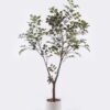 Artificial Tree 70*60*130cm Chinese loropetalum herb in PP pot GS-69425021KD-G3 2026Apr YeahFlower is one of Chinese leading OEM manufacturers and exporters , supplying the silk flowers, wholesale artificial trees