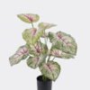 Artificial Tree 48*45*60cm Epipremnum aureum in PP pot/12 lvs GS-30425018 2026Apr YeahFlower is one of Chinese leading OEM manufacturers and exporters , supplying the silk flowers, wholesale artificial trees