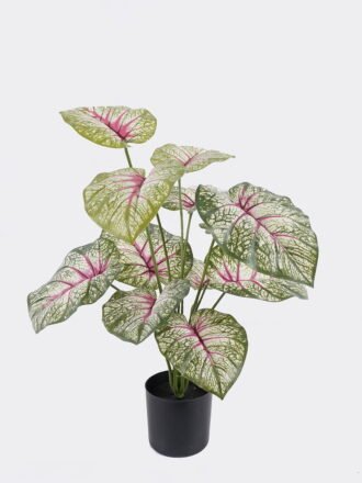Artificial Tree 85*65*180cm White edge Grass *10 in PP pot/500 lvs GS-30425017 2026Apr 3,000+ sqm showroom with thousands of artificial flowers, plants & trees ready for global sourcing.