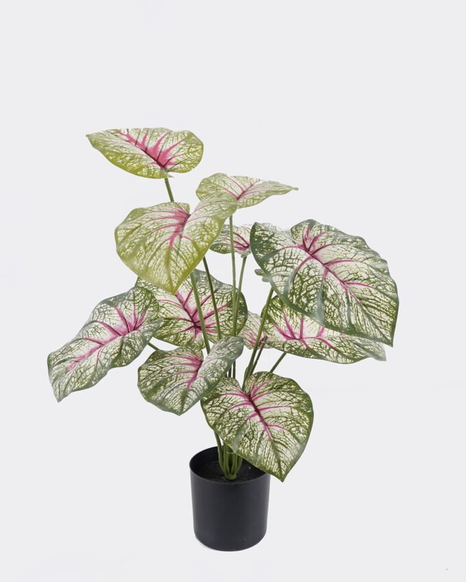 Artificial Tree 48*45*60cm Epipremnum aureum in PP pot/12 lvs GS-30425018 2026Apr YeahFlower is one of Chinese leading OEM manufacturers and exporters , supplying the silk flowers, wholesale artificial trees