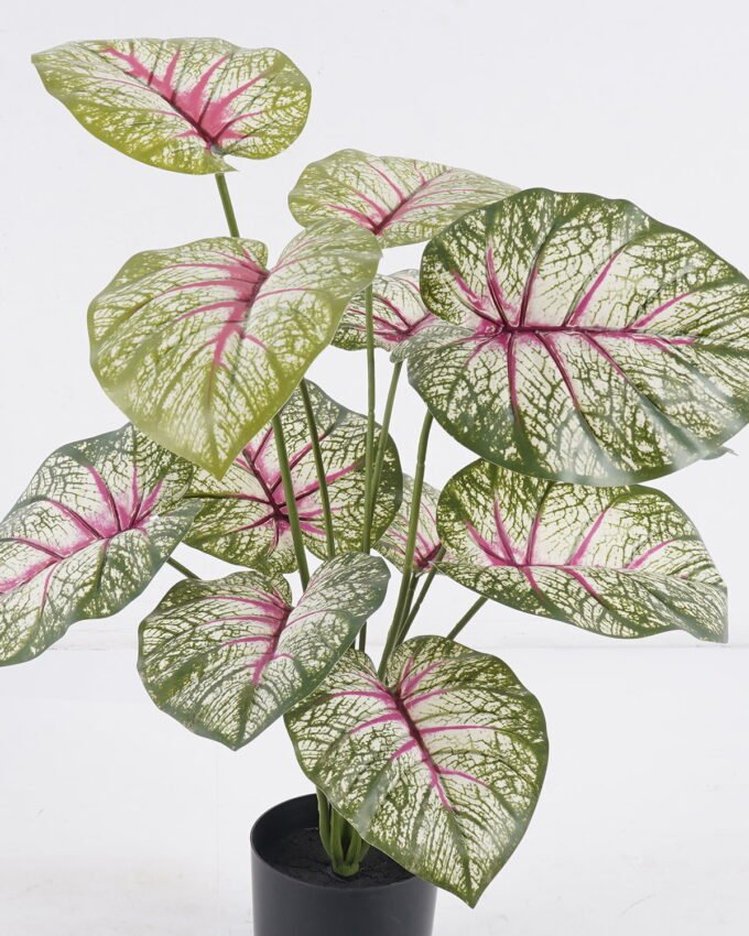 Artificial Tree 48*45*60cm Epipremnum aureum in PP pot/12 lvs GS-30425018 2026Apr YeahFlower is one of Chinese leading OEM manufacturers and exporters , supplying the silk flowers, wholesale artificial trees