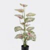 Artificial Tree Epipremnum aureum in PP pot 15 lvs GS-30425020_1 Artificial Tree 45*40*90cm Epipremnum aureum in PP pot/15 lvs GS-30425020 2026Apr YeahFlower is one of Chinese leading OEM manufacturers and exporters , supplying the silk flowers, wholesale artificial trees