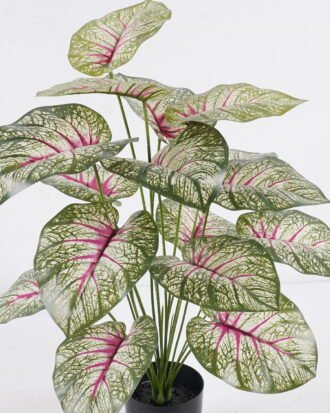 Artificial Tree 50*40*60cm Epipremnum aureum in PP pot/18 lvs GS-30425019 2026Apr YeahFlower is one of Chinese leading OEM manufacturers and exporters , supplying the silk flowers, wholesale artificial trees Artificial Tree 50*40*60cm Epipremnum aureum in PP pot/18 lvs GS-30425019 2026Apr YeahFlower is one of Chinese leading OEM manufacturers and exporters , supplying the silk flowers, wholesale artificial trees