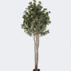 Artificial Tree 67*60*180cm Eucalyptus *4 tree in PP pot/720 lvs/ nature plants GS-59525020 2026Apr YeahFlower is one of Chinese leading OEM manufacturers and exporters , supplying the silk flowers, wholesale artificial trees