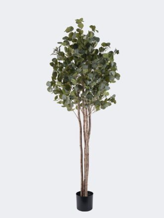 Artificial Tree 60*44*150cm Eucalyptus *4 tree in PP pot/540 lvs/ nature plants GS-59525019 2026Apr 3,000+ sqm showroom with thousands of artificial flowers, plants & trees ready for global sourcing.