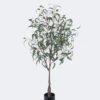Artificial Tree 80*40*150cm Eucalyptus in PP pot/286 lvs GS-58425005KD 2026Apr YeahFlower is one of Chinese leading OEM manufacturers and exporters , supplying the silk flowers, wholesale artificial trees
