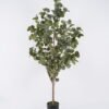 Artificial Tree 62*58*150cm Eucalyptus in PP pot/540 lvs GS-59525002KD-POST 2026Apr YeahFlower is one of Chinese leading OEM manufacturers and exporters , supplying the silk flowers, wholesale artificial trees