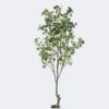 Artificial Tree 66*56*180cm Eucalyptus in PP pot/576 lvs GS-58425011KD 2026Apr YeahFlower is one of Chinese leading OEM manufacturers and exporters , supplying the silk flowers, wholesale artificial trees