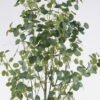 Artificial Tree 66*56*180cm Eucalyptus in PP pot/576 lvs GS-58425011KD 2026Apr YeahFlower is one of Chinese leading OEM manufacturers and exporters , supplying the silk flowers, wholesale artificial trees