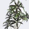 Artificial Tree 65*50*120cm False aralia *2 in PP pot GS-69425014 2026Apr YeahFlower is one of Chinese leading OEM manufacturers and exporters , supplying the silk flowers, wholesale artificial trees
