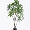 Artificial Tree 70*60*155cm False aralia *2 in PP pot GS-69425015KD 2026Apr YeahFlower is one of Chinese leading OEM manufacturers and exporters , supplying the silk flowers, wholesale artificial trees