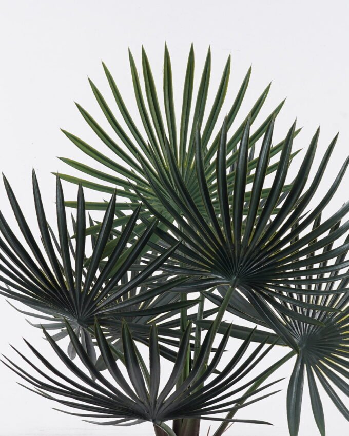 Artificial Tree 45*30*70cm Fanflower in PP pot/7 lvs GS-59525037 2026Apr YeahFlower is one of Chinese leading OEM manufacturers and exporters , supplying the silk flowers, wholesale artificial trees