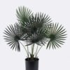Artificial Tree 62*50*80cm Fanflower in PP pot/8 lvs GS-59525038 2026Apr YeahFlower is one of Chinese leading OEM manufacturers and exporters , supplying the silk flowers, wholesale artificial trees
