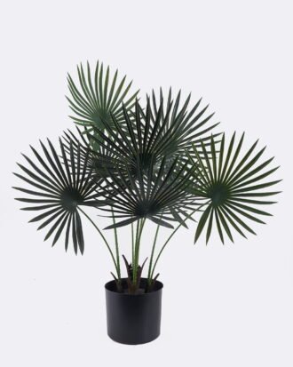 Artificial Tree 62*50*80cm Fanflower in PP pot/8 lvs GS-59525038 2026Apr YeahFlower is one of Chinese leading OEM manufacturers and exporters , supplying the silk flowers, wholesale artificial trees