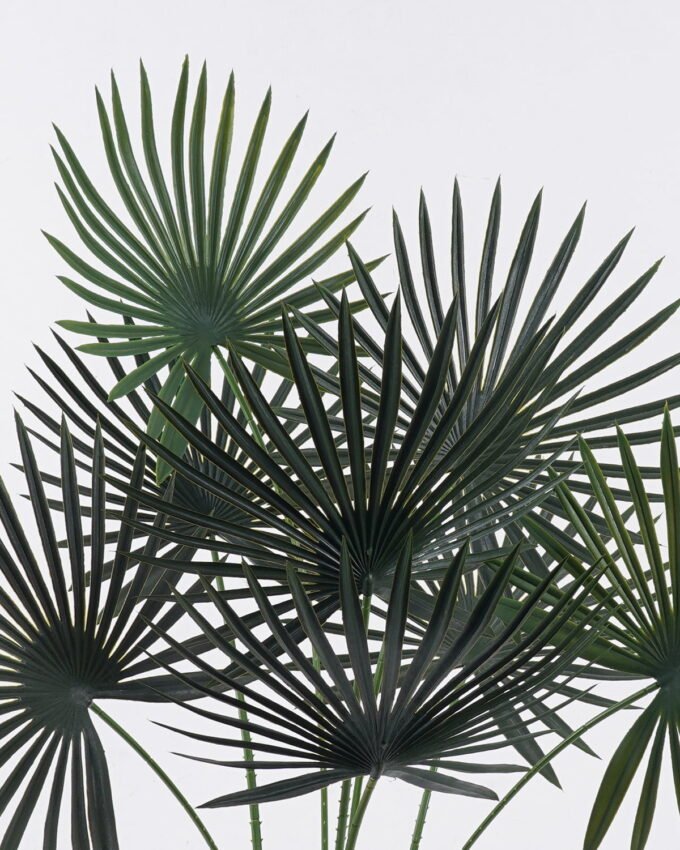 Artificial Tree 62*50*80cm Fanflower in PP pot/8 lvs GS-59525038 2026Apr YeahFlower is one of Chinese leading OEM manufacturers and exporters , supplying the silk flowers, wholesale artificial trees