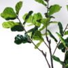 Artificial Tree Ficus Lyrata in PP pot GS-46725008-POST_6 Artificial Tree 112*80*210cm Ficus Lyrata in PP pot GS-46725008-POST 2026Apr YeahFlower is one of Chinese leading OEM manufacturers and exporters , supplying the silk flowers, wholesale artificial trees