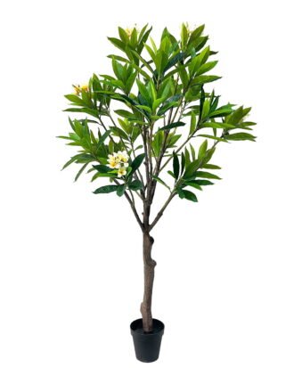 Artificial Tree 100*100*210cm Frangipani in PP pot GS-82625001KD 2026May 3,000+ sqm showroom with thousands of artificial flowers, plants & trees ready for global sourcing.
