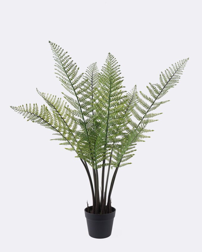 Artificial Tree 62*50*90cm Frond in PP pot/12 lvs GS-59525042 2026Apr YeahFlower is one of Chinese leading OEM manufacturers and exporters , supplying the silk flowers, wholesale artificial trees