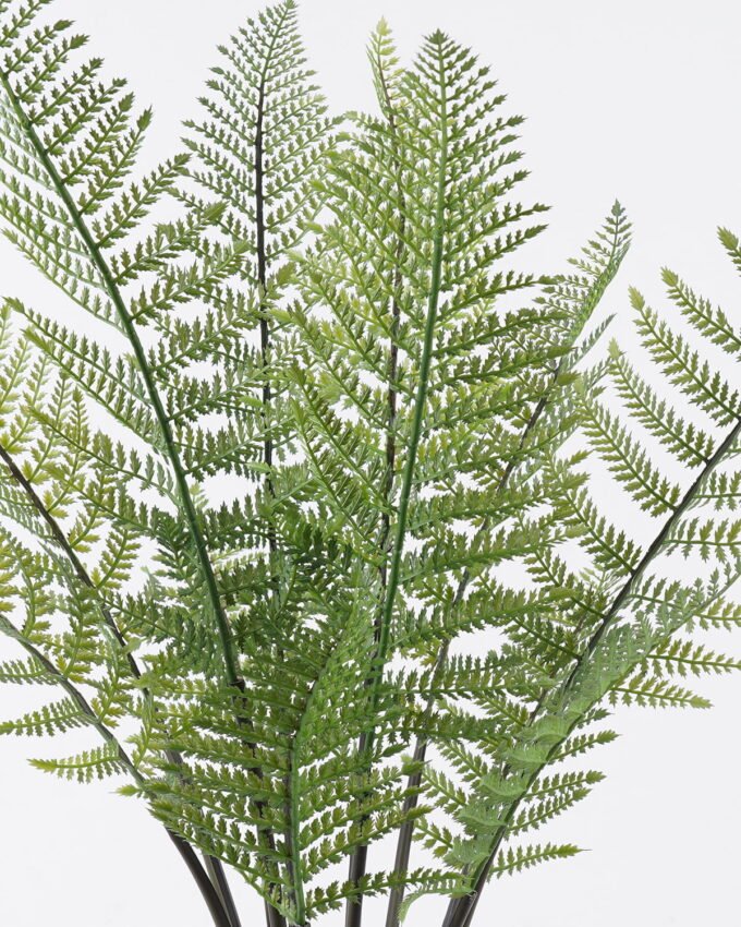 Artificial Tree 62*50*90cm Frond in PP pot/12 lvs GS-59525042 2026Apr YeahFlower is one of Chinese leading OEM manufacturers and exporters , supplying the silk flowers, wholesale artificial trees