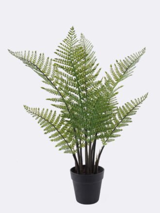 Artificial Tree 85*78*80cm Frond in PP pot/15 lvs GS-59525041 2026Apr 3,000+ sqm showroom with thousands of artificial flowers, plants & trees ready for global sourcing.