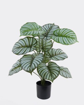 Artificial Tree 44*40*55cm Green apple leaves in PP pot/12 lvs GS-30425021 2026Apr YeahFlower is one of Chinese leading OEM manufacturers and exporters , supplying the silk flowers, wholesale artificial trees Artificial Tree 44*40*55cm Green apple leaves in PP pot/12 lvs GS-30425021 2026Apr YeahFlower is one of Chinese leading OEM manufacturers and exporters , supplying the silk flowers, wholesale artificial trees