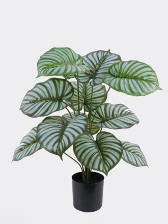Artificial Tree 55*50*65cm Green apple leaves in PP pot/18 lvs GS-30425022 2026Apr 3,000+ sqm showroom with thousands of artificial flowers, plants & trees ready for global sourcing.