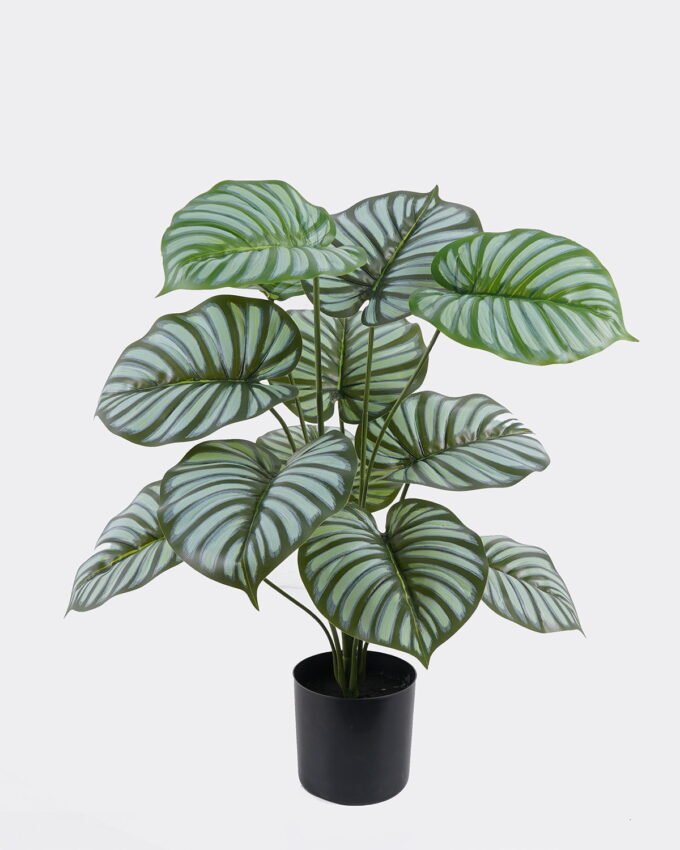 Artificial Tree 44*40*55cm Green apple leaves in PP pot/12 lvs GS-30425021 2026Apr YeahFlower is one of Chinese leading OEM manufacturers and exporters , supplying the silk flowers, wholesale artificial trees